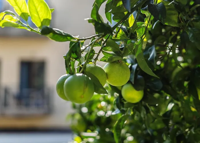 酒店 Capri (adults Only) 4*