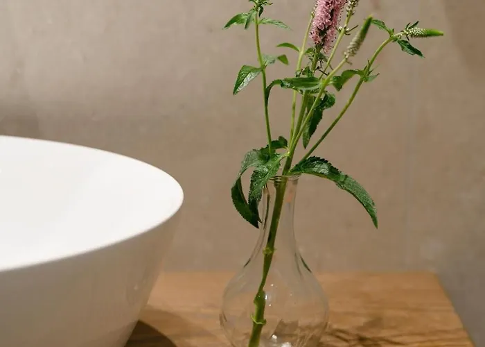 Capri (adults Only) Półwysep Sorrentyński