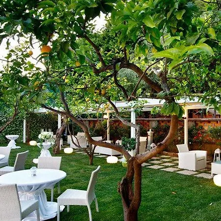 Отель Capri 4*